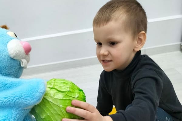Задержка психоречевого развития (ЗПРР)