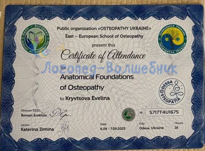 Сертификат Anatomical Foundations of Osteopathy — Кривцова Эвелина
